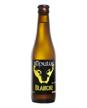 Lupulus - Blanche